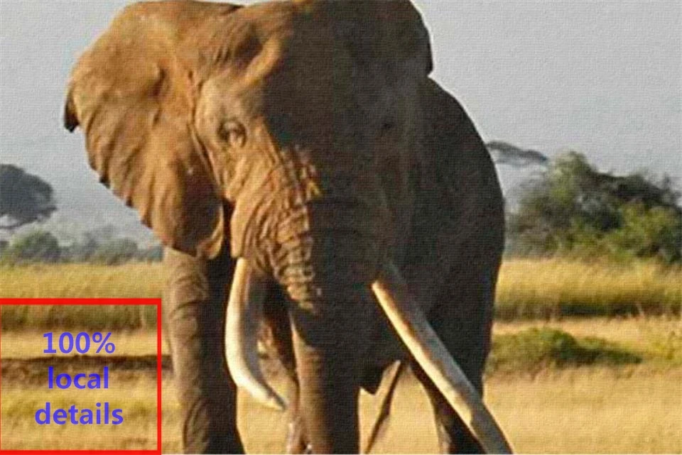3d фото обои на заказ для гостиной Фреска африканская луга слон пейзаж картина фон