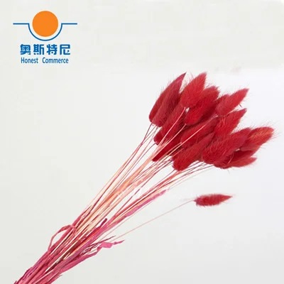 red color 50 шт. сушеные натуральные Цветочные букеты фиолетового цвета lagunus ovatus букеты& Uraria picta& rabbit tail трава Цветочные букеты грозди - Цвет: red color