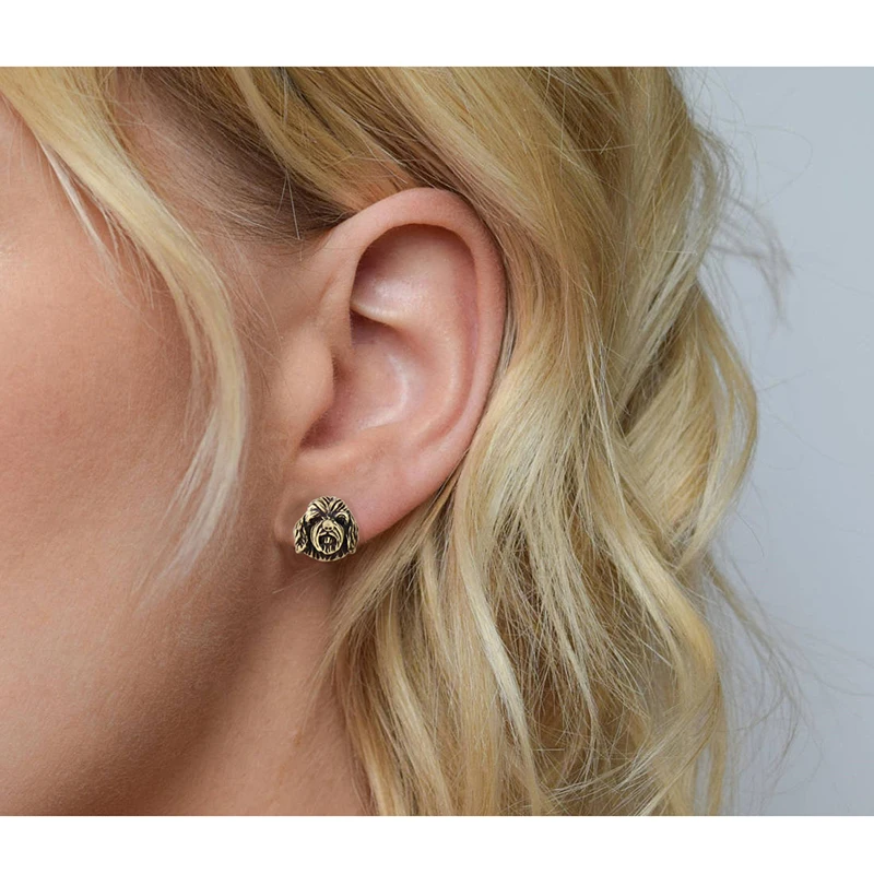 Fei Ye лапы серебряного цвета в винтажном Цвет Labradoodle & Goldendoodle кокапу серьги