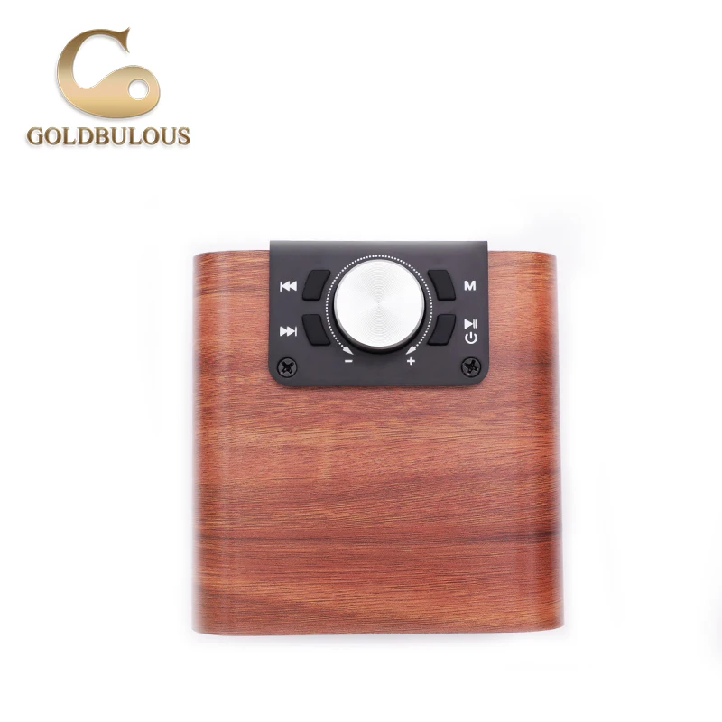 Goldbulous Bluetooth Динамик fm Радио 8 Вт Портативный Беспроводной мини PA Hi-Fi стерео звук