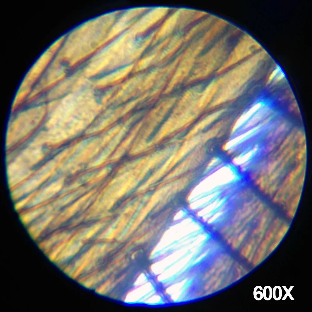 Datyson детский микроскоп биологии костюм научный эксперимент 1200 раз подарок