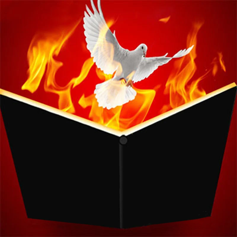 Огненная книга появляющийся магический голубь трюки забавная сцена магические предметы появляющиеся из пламени магический книга иллюзии, трюк, реквизит волшебников