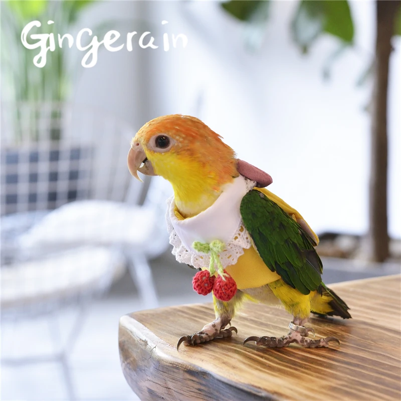 Gingerain одежда с птицами для попугаев вишневый свитер оригинальный ручной работы