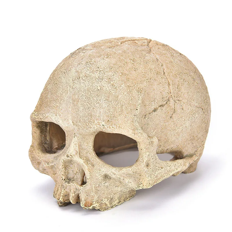 Украшение для аквариума искусственная смола Череп гусеничный дракон ящерицы