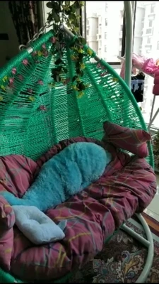 Высокопрочный полипропиленовый нейлоновый трос рыболовный сельскохозяйственный грузовик в комплекте шнур строительный пластиковый трос солнцезащитный 8 мм