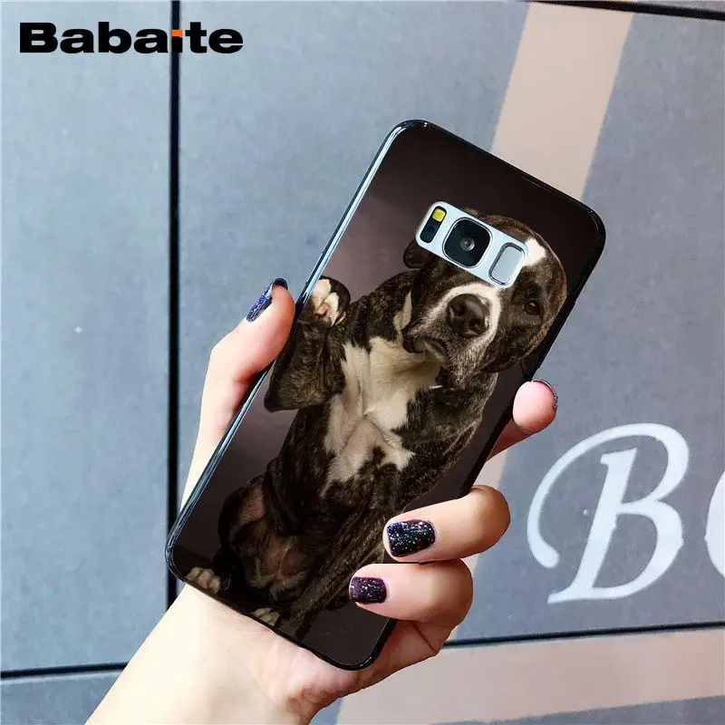 Babaite питбуль прекрасный питбуль чехол для телефона для samsung Galaxy S8 S7 edge S10 Plus S10E S10lite S9 Plus S5 M10 20