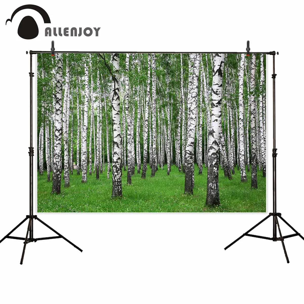 Allenjoy фотографии фоном темно зеленая трава Зебра естественный фон фото студия