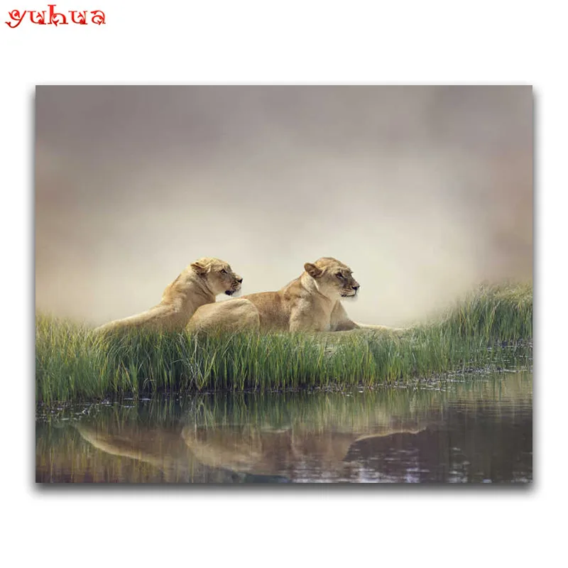 Round Diamond embroidery dierlijk Tiger Full Square mosaic colorful Art 5D DIY painting Cross stitch Animal Lion | Дом и сад