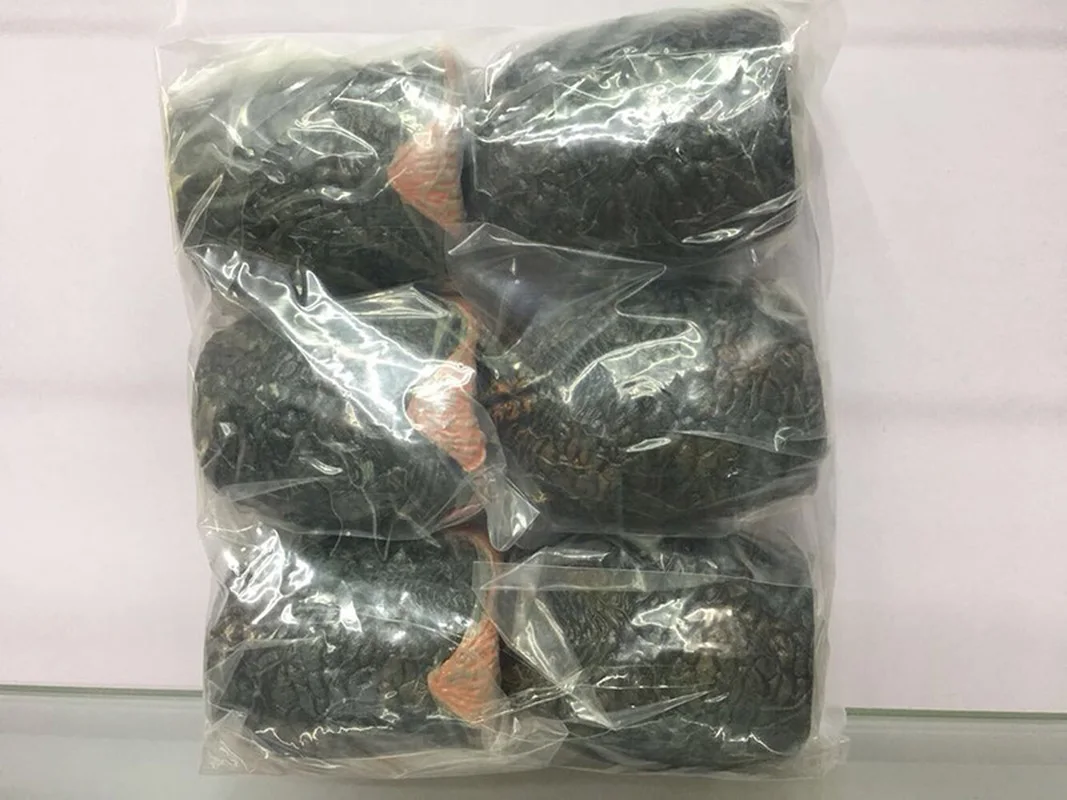 10 см NECA Alien Facehugger Статуэтка яйца куклы игрушки ПВХ фигурка Коллекционная модель 6