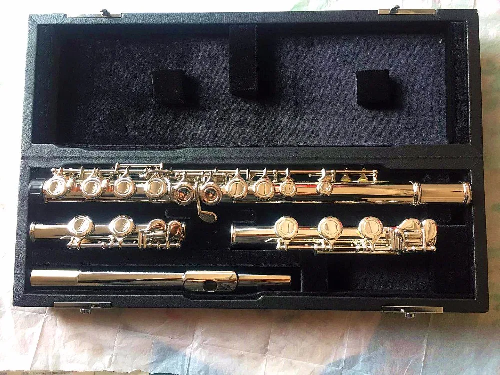 Новый инструмент для флейты студенческий еггинсы 16 отверстий E key silver piccolo