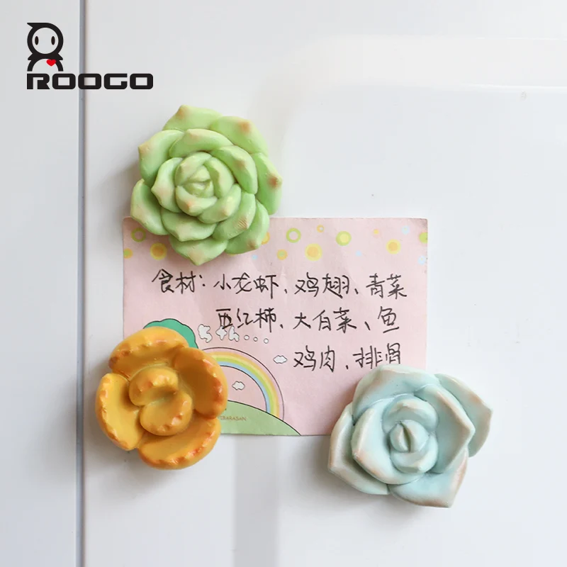 Roogo магнитные суккулентные растения на холодильник мини 3D фотообои для дома