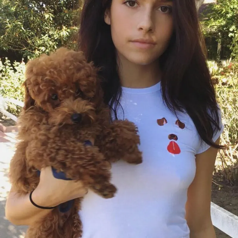 Женская футболка в стиле Харадзюку с вышивкой и коротким рукавом | одежда