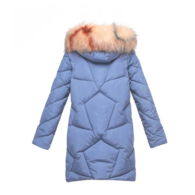 Зимняя куртка-парка 2019 женские корейские куртки с хлопковой подкладкой и меховым