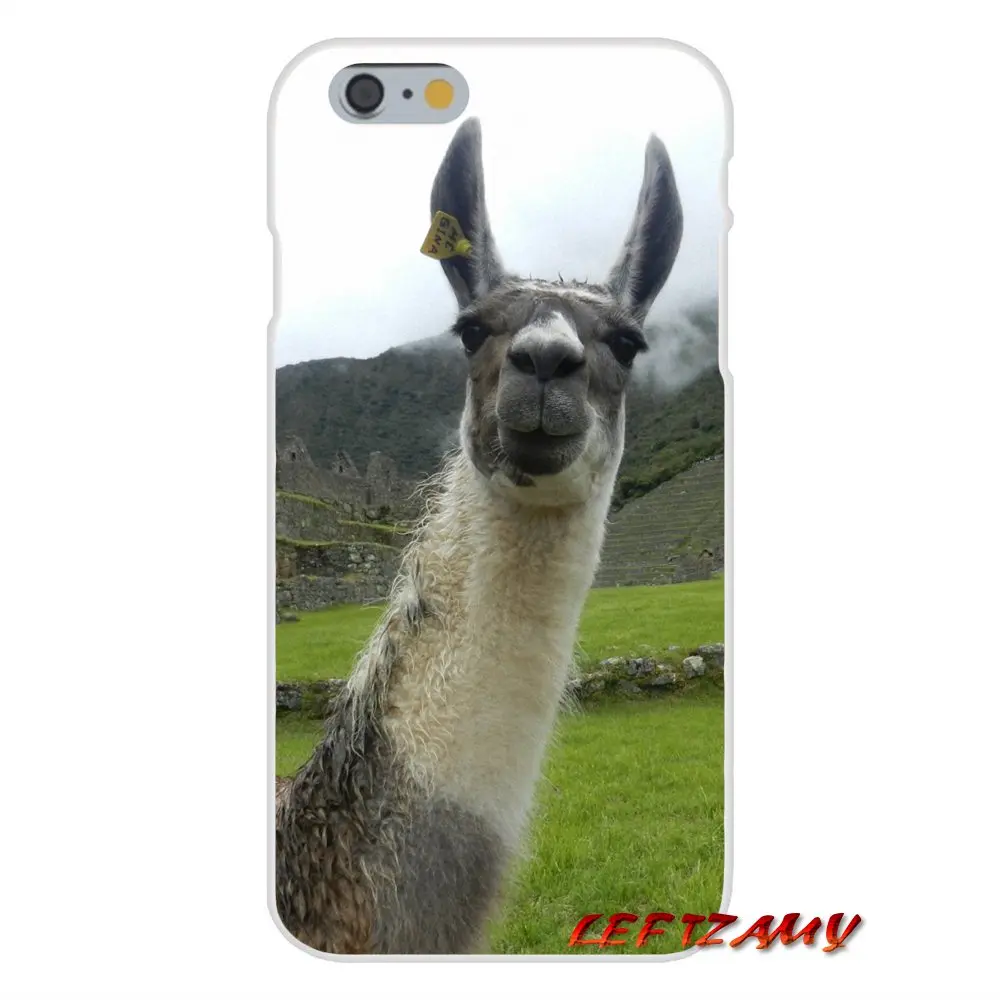 Милый мем с козлом Альпака для iPhone X XR XS MAX 4 4S 5 5S 5C SE 6 6S 7 8 Plus ipod touch Аксессуары чехлы