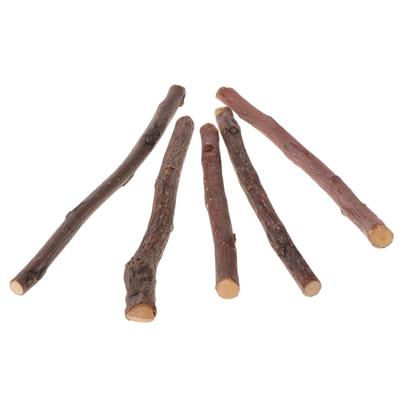 Жевательная палочка 5 шт. дерево ветка хомяк белка натуральные