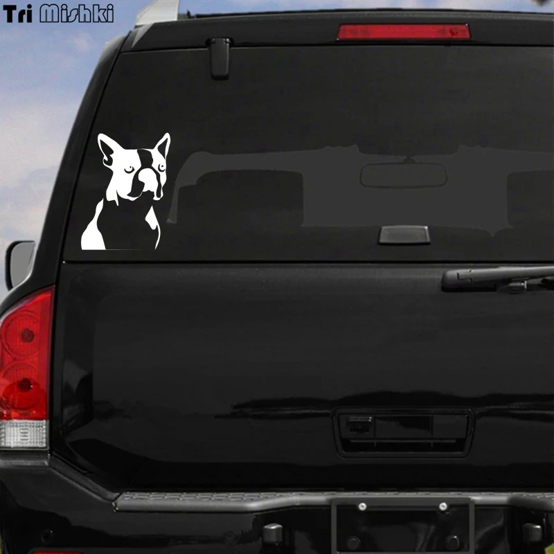 Три мишки HZX678 #15*20 см Love Boston Terrier dog Автомобильная наклейка на лобовое стекло