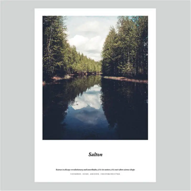 Скандинавское искусство напечатано на Постеры-холсты естественная картина без