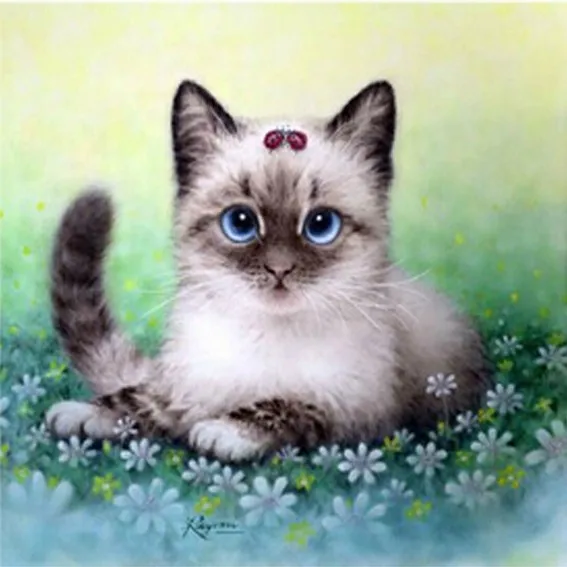 

3d diamond embroidery cat needlework diamond mosaic pictures of rhinestones hobbies and crafts material for handmade HY1659