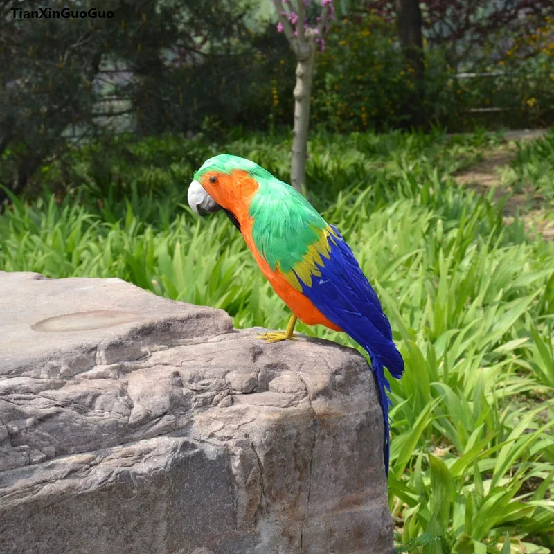 

large 40cm simulation parrot bird hard model polyethylene&colourful feathers bird prop handicraft garden decoration gift s1093
