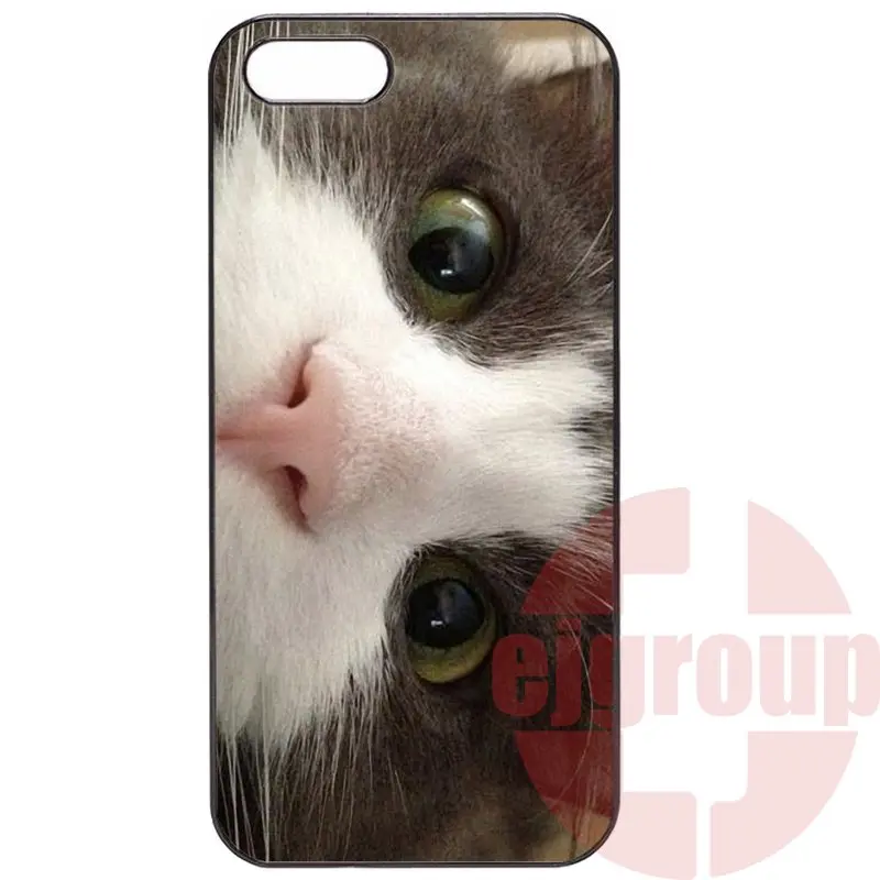 gray cat with a zenit camera For Galaxy Y S5360 Note 3 Neo Ace Nxt Plus On5 On7 On8 2016 Amazon Fire Hard Case |