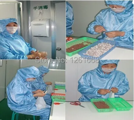 Женский вагинальный ремонт Травяные Тампоны продукты (Beautiful Life Вагинальный