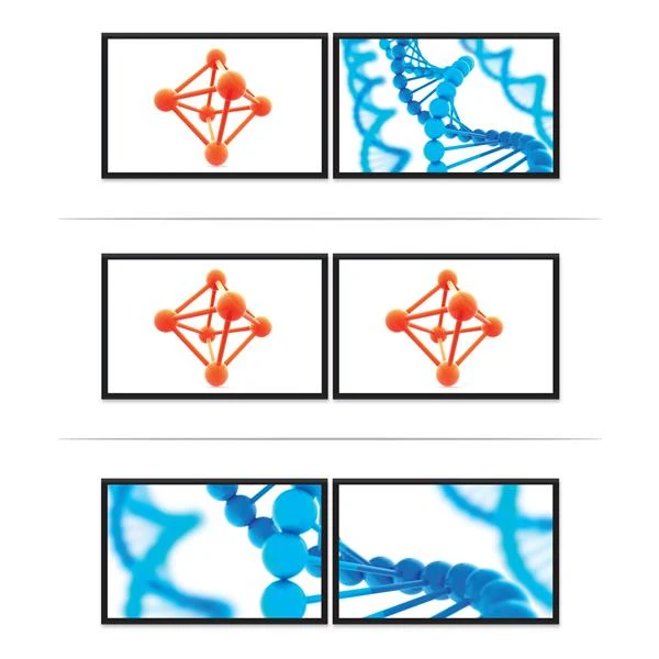 StarTech.com дисплей Порты и разъёмы для отображения Multi монитор Splitter 2 MST концентратора