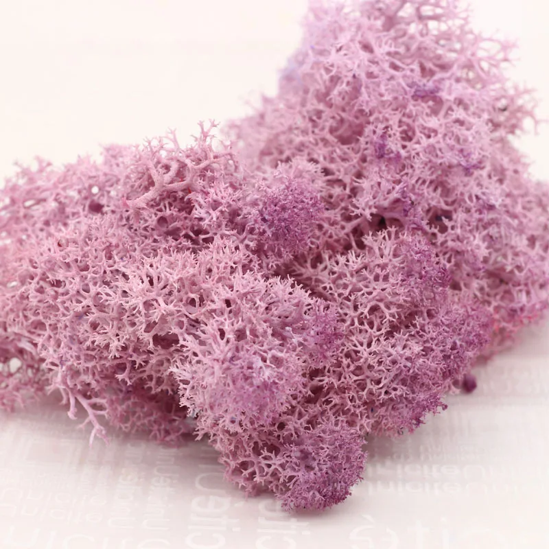 pink purple 20 г Натуральный Мох искусственное растение вечный мох домашний сад украшение DIY цветок материал микро Ландшафтные аксессуары - Цвет: pink purple