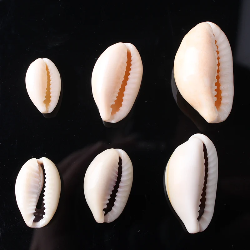 CAMDOE DANLEN бусины из натуральных раковин 13 26 мм белый Cowrie патроны подходят Diy женские