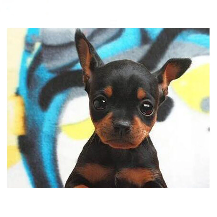 Миниатюрная Алмазная вышивка Pinscher пазлы алмазная живопись распродажа мозаика