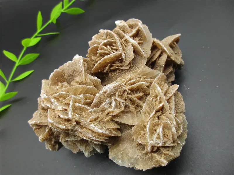 100% натуральная пустынная Роза целебный кристалл фотообразец коллекция