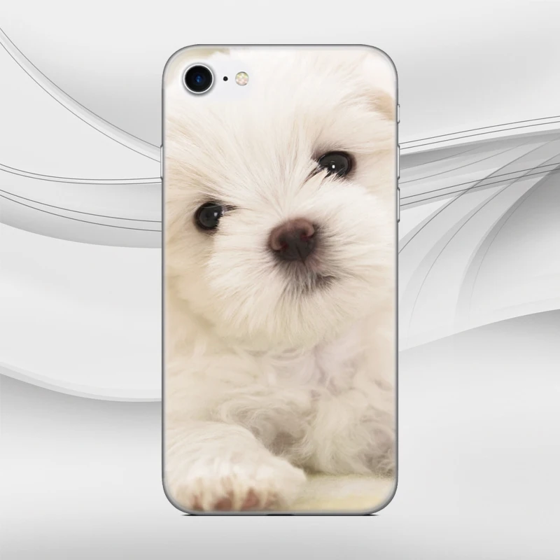 Собака Мягкий ТПУ чехол для телефона для LG Nexus 5x Q6 Q7 V30 V40 V50 G6 G7 G8 ThinQ K11 K10 K9 K8 X Мощность 2 3 Stylo 4 5 Крышка