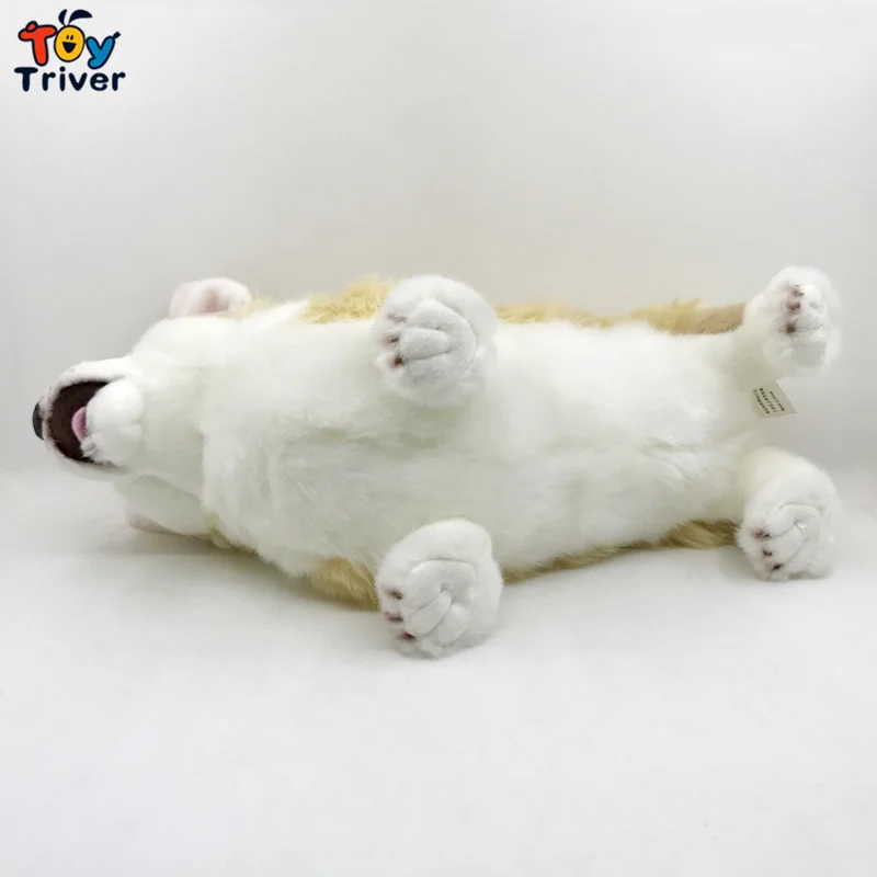 Pembroke Welsh Corgi Плюшевая собачка Toy Triver набитые Животные Куклы Дети Малыши мальчик