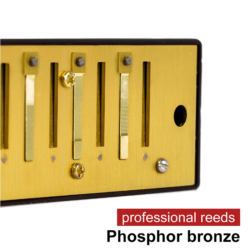 Tremolo Губная гармошка французская арфа рот Фосфорная бронза 24 Отверстия ключ
