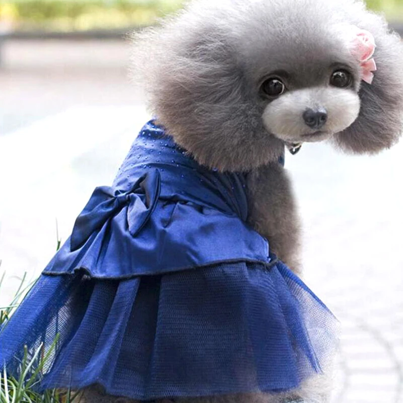 Высококачественная одежда для потенциозного щенка свадебное вечернее кружевное