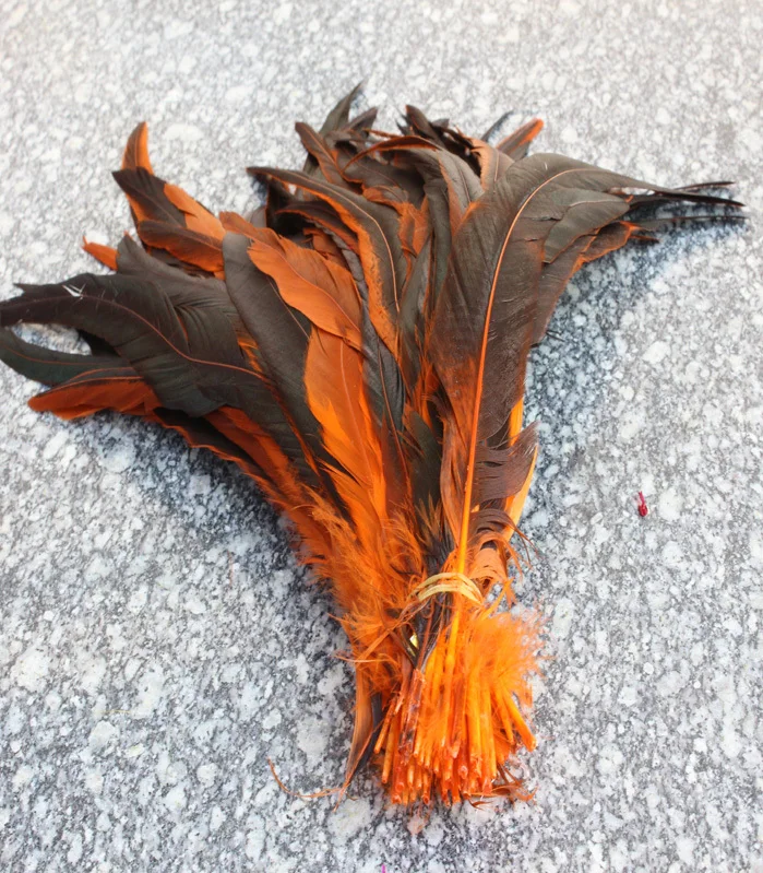 

Wholesale 100 PCS orange natural rooster tail 30-35 cm / 12 to 14 inches