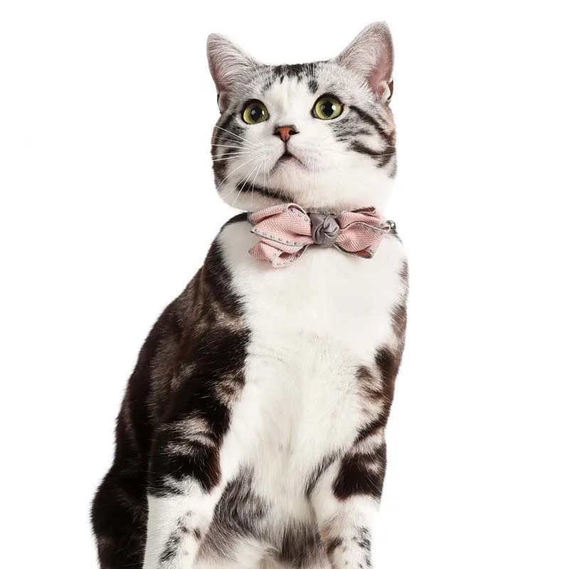 Sweet Bow Tie Princess Pet Dog Cat Collar Apparels Chihuahua Neck Decoration Necklace Collars Accessories 20E | Дом и сад