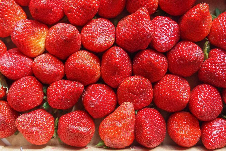 USDA и EC сертифицированный органический порошок клубничного сока