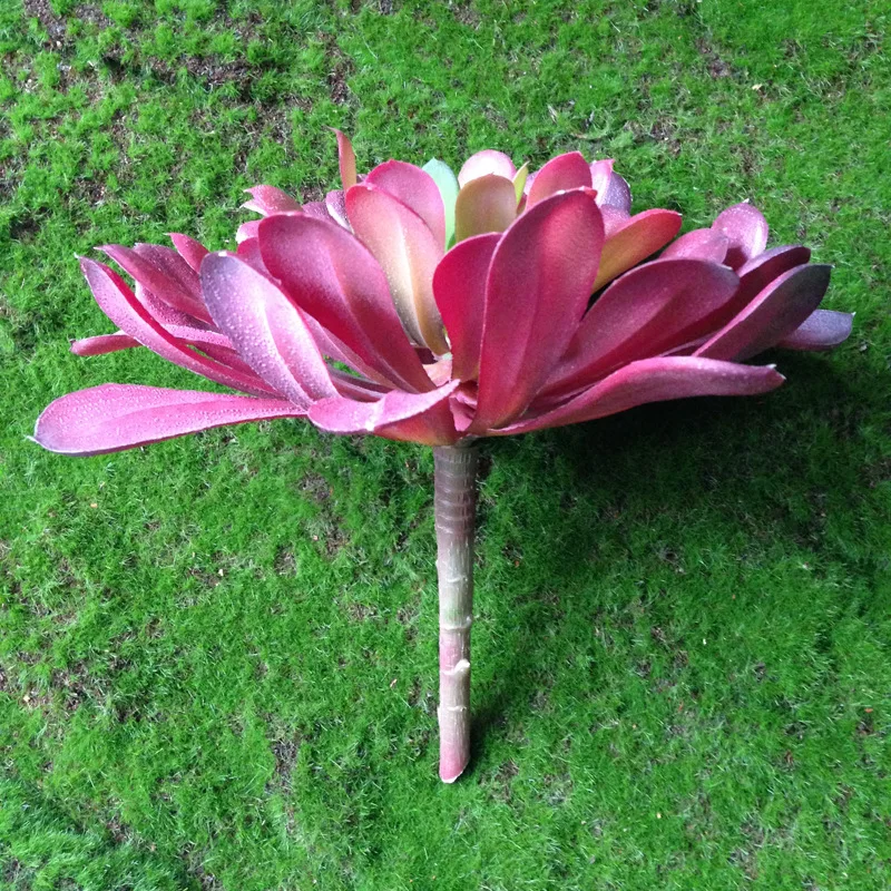 NuoNuoWell 3x Aeonium Черный Розовый Великолепная 7 5 ''голова искусственное