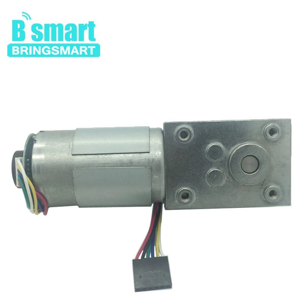 Червячный двигатель постоянного тока Bringsmart 12 В червячный редуктор 24 16 об/мин