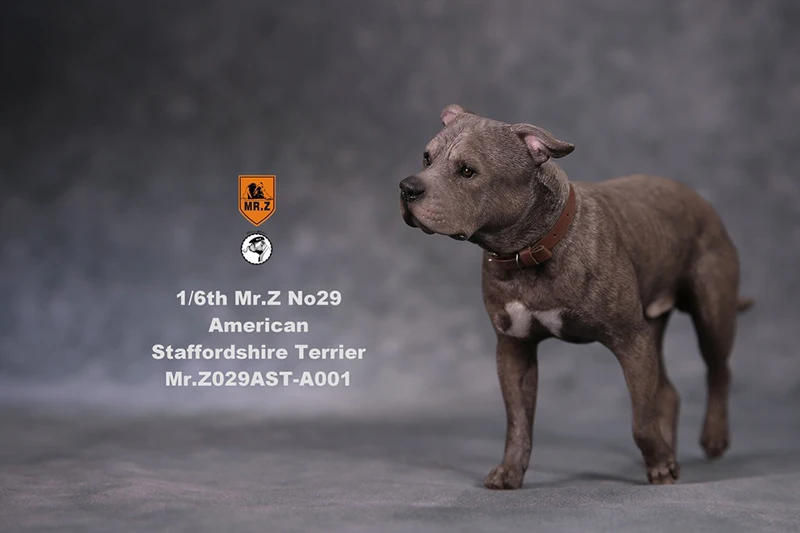 A001 1/6 Коллекционная Фигурка сцены аксессуары Mr. Z Real Animal NO. 29 американский стаффордширский терьер осанка с обменяемой головой - Цвет: A001