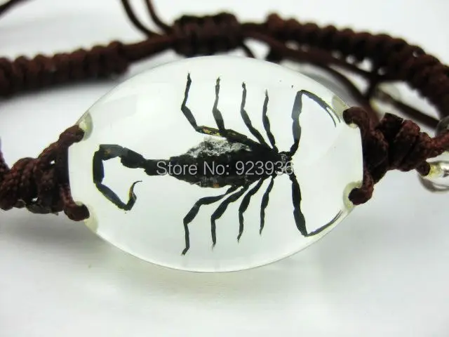 3 шт настоящие ясный черный браслет Скорпион насекомое подарок микс веревка|rope