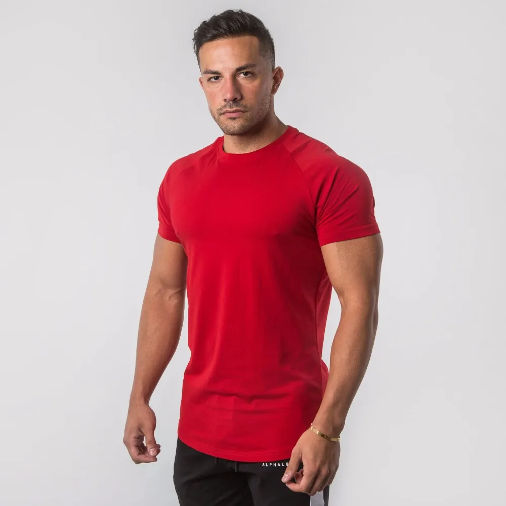 ALPHALETE летняя Новинка для мужчин тренажерные залы футболка фитнес бодибилдинг тонкие футболки Мода для отдыха с коротким рукавом хлопковые футболки топы