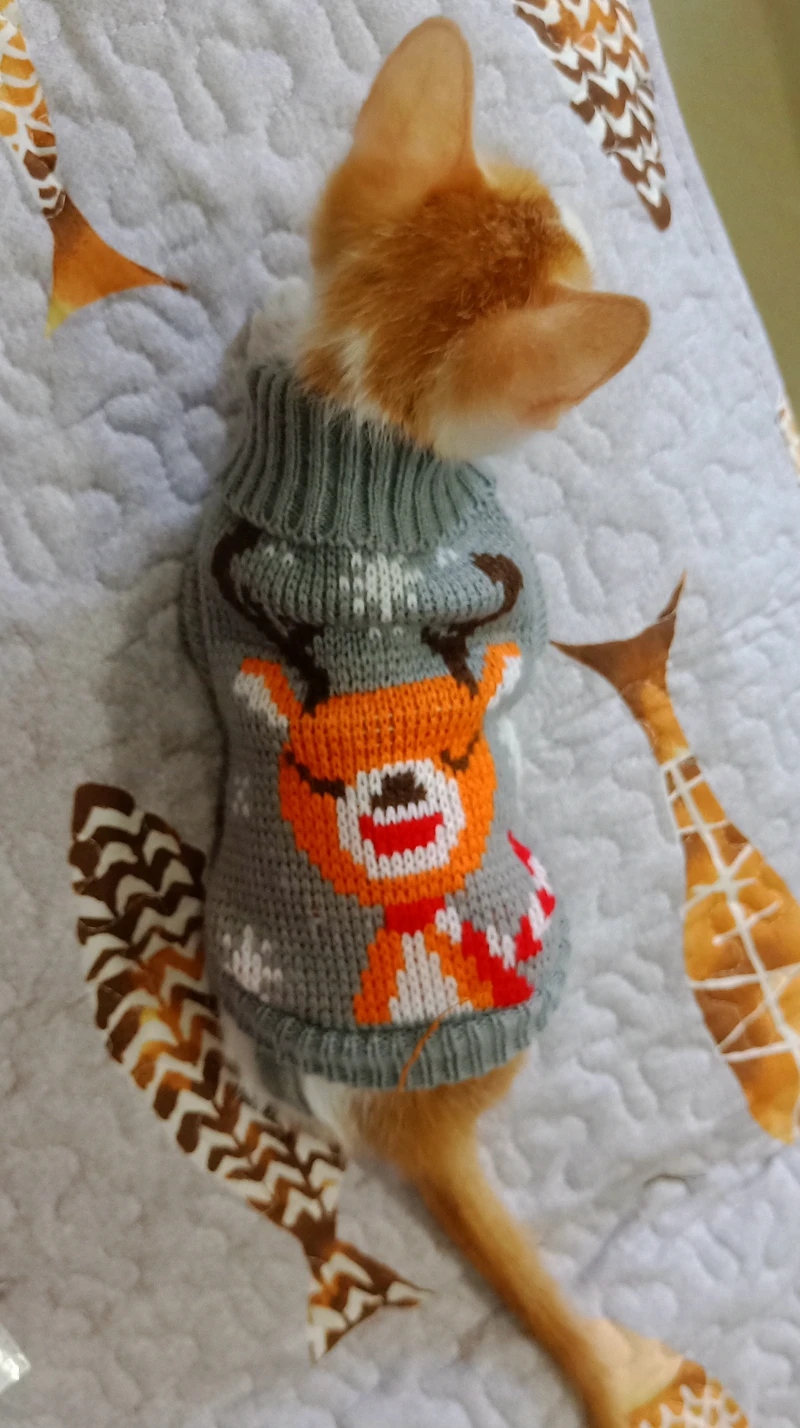 [MPK cat hoodies] свитер SWA Cat, свитер для кошек и маленьких собак, одежда для кошек, 12 цветов на выбор+ 6 размеров для каждого цвета
