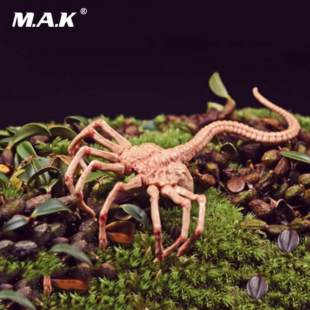 1/6 FG028 Хищник Чужой Facehugger Модель Рисунок сцены аксессуары|model figure|alien facehuggerfigure model |