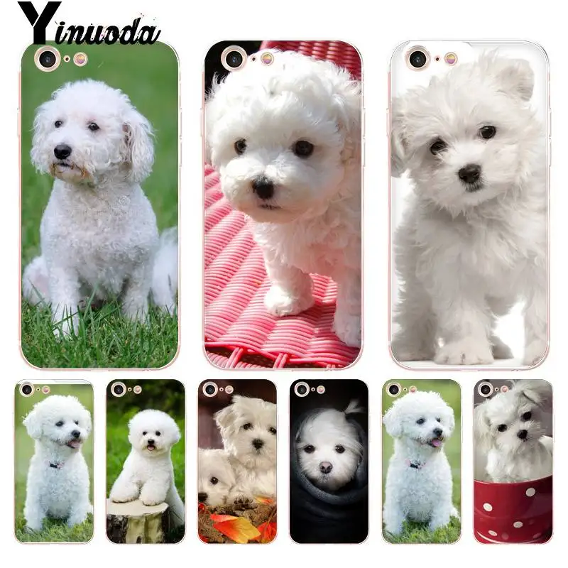 

For iphone 13 7 6 X Case Animal Bichon frise dog Ultra Thin Phone Case for iphone 13 8 7 6 6S Plus X 10 5 5S SE XR XS XSMAX