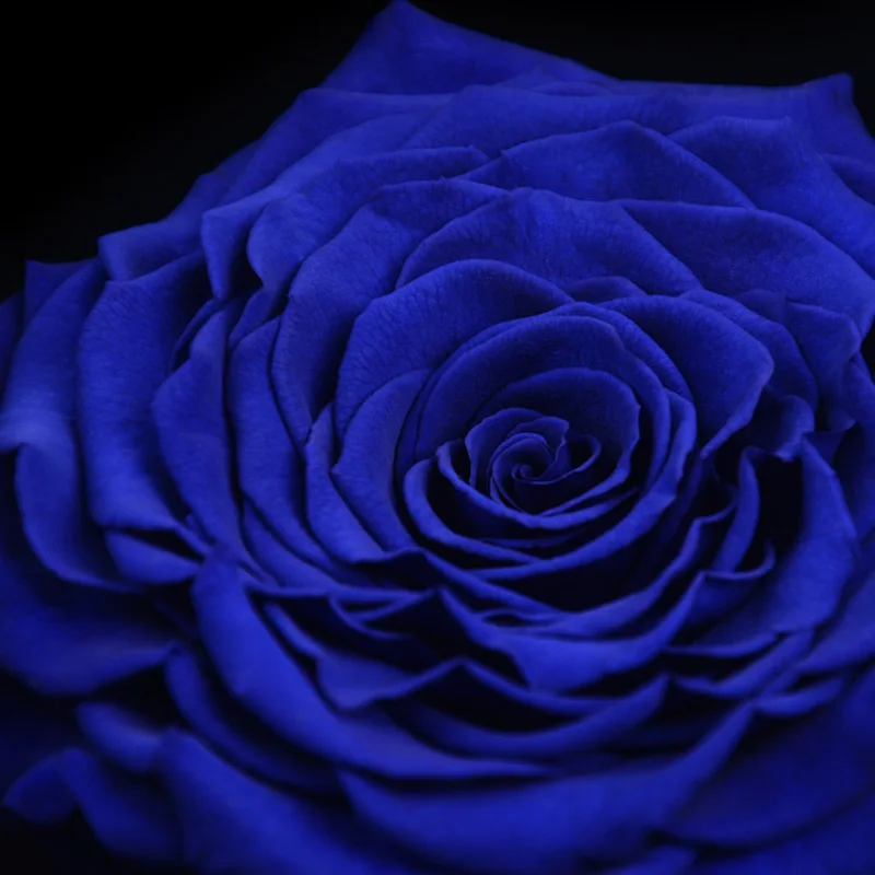 Подарочная коробка Xiaomi Mijia The One Love Life Eternal Rose представляет романтику с сюрпризом для влюбленных на Рождество love the one all Life