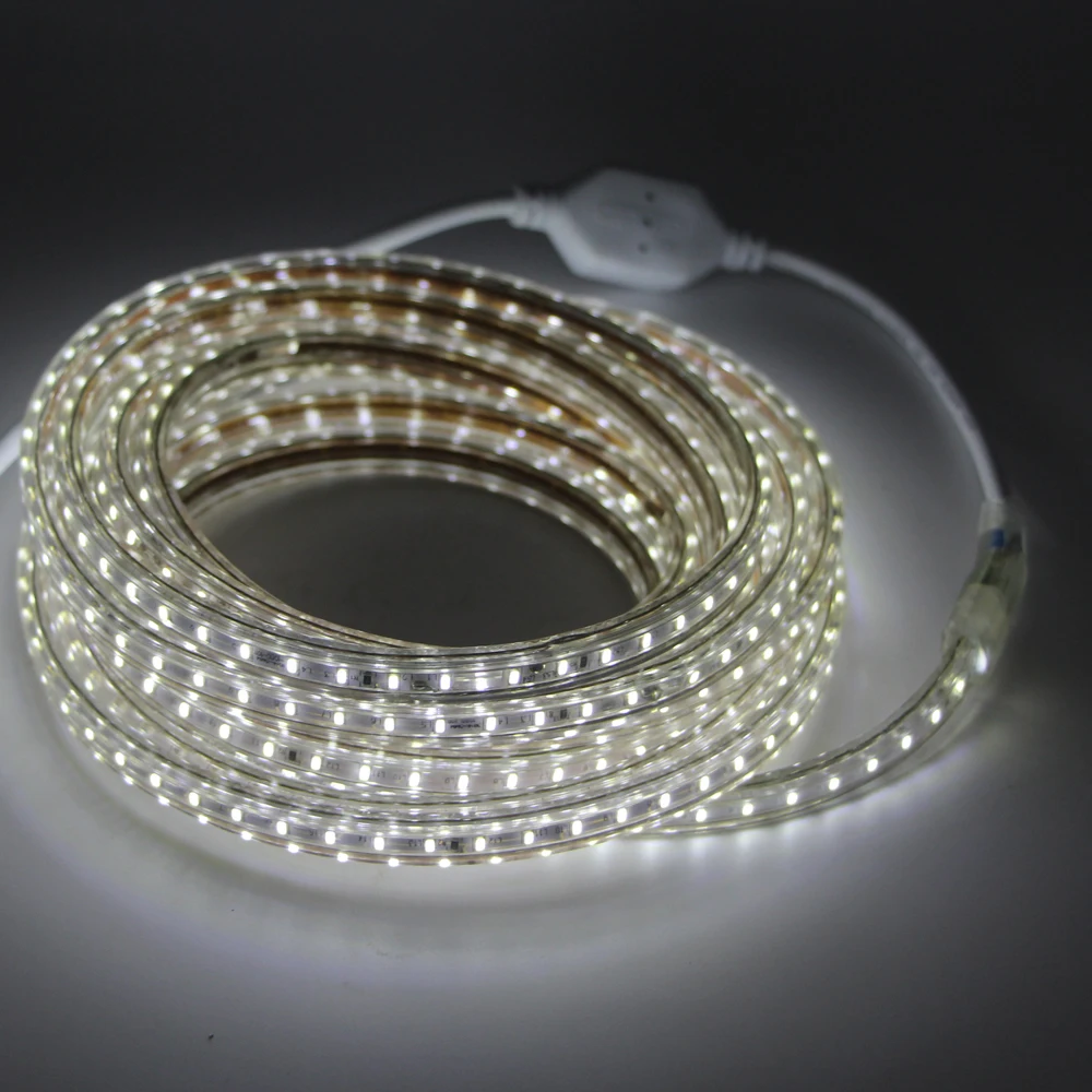 Светодиодная лента 220 В 110 водонепроницаемая SMD 3014 120 светодиодов/м + штепсельная