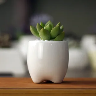 Белый Керамика цветочных горшков под заказ с тремя ногу Изящные Дизайн Искусство