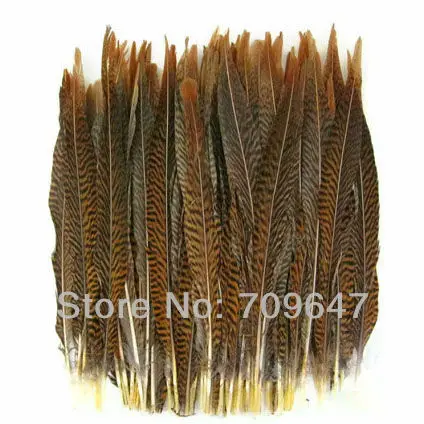 

20PCS/LOT 12-14" 30-35cm NATURAL Golden Pheasant Tail Feathers,Loose Golden Pheasant Feathers, Feathers Decoration