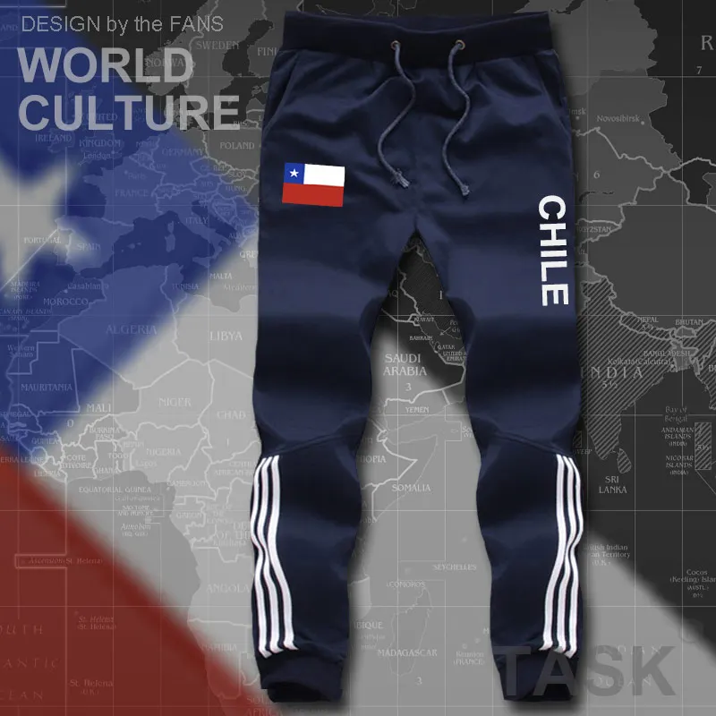 Chile мужские пляжные шорты новые для тренировок с флагом на молнии карманами